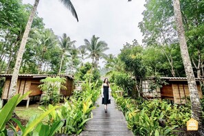 A wooden pathway leading to a bungalow surrounded by lush greenery and palm trees.