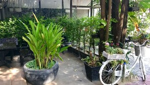 Ein Garten mit Kübelpflanzen, einem Fahrrad und einem strohgedeckten Gebäude.
