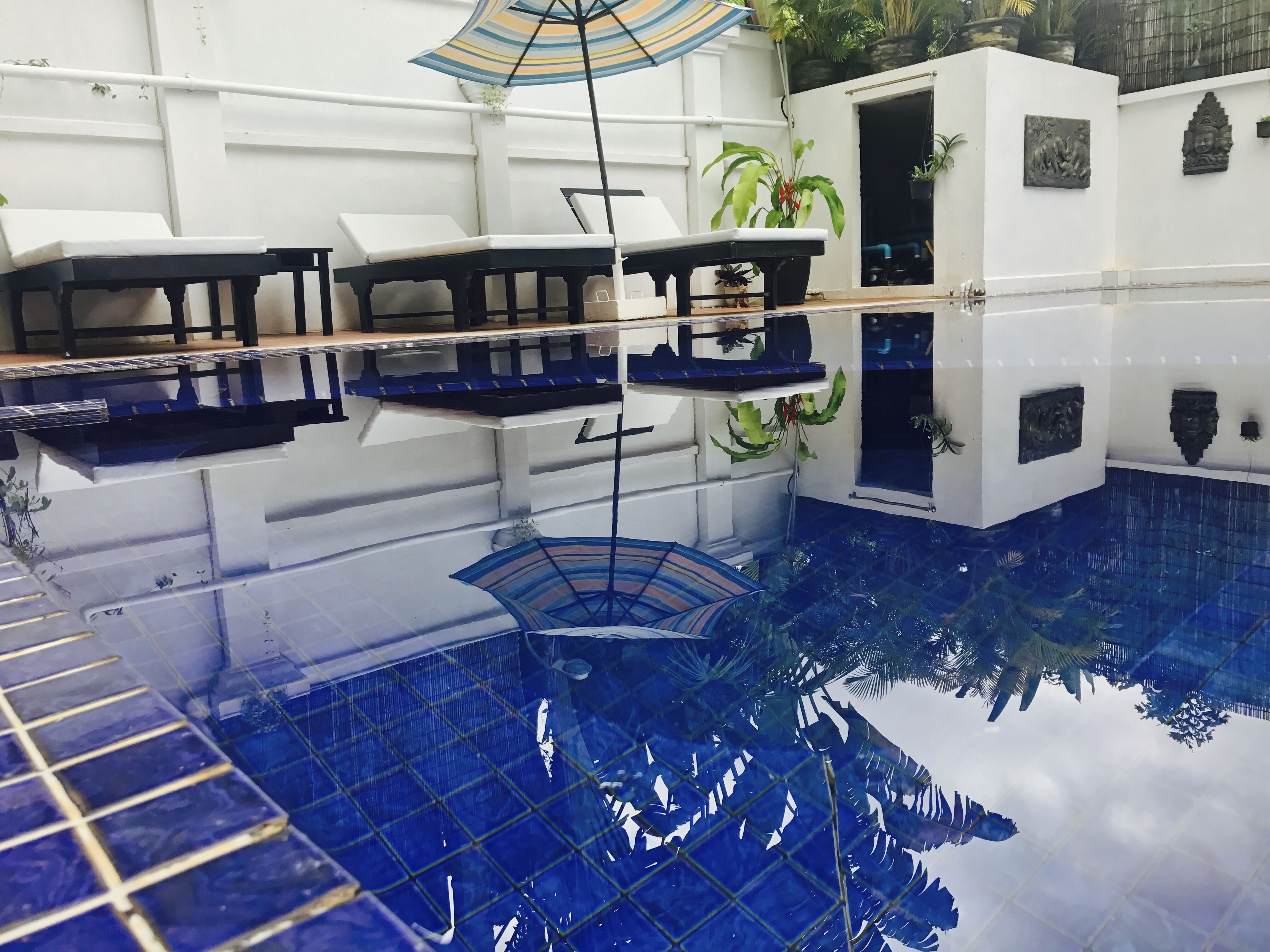 outdoor pool, pool umbrellas, pool loungers