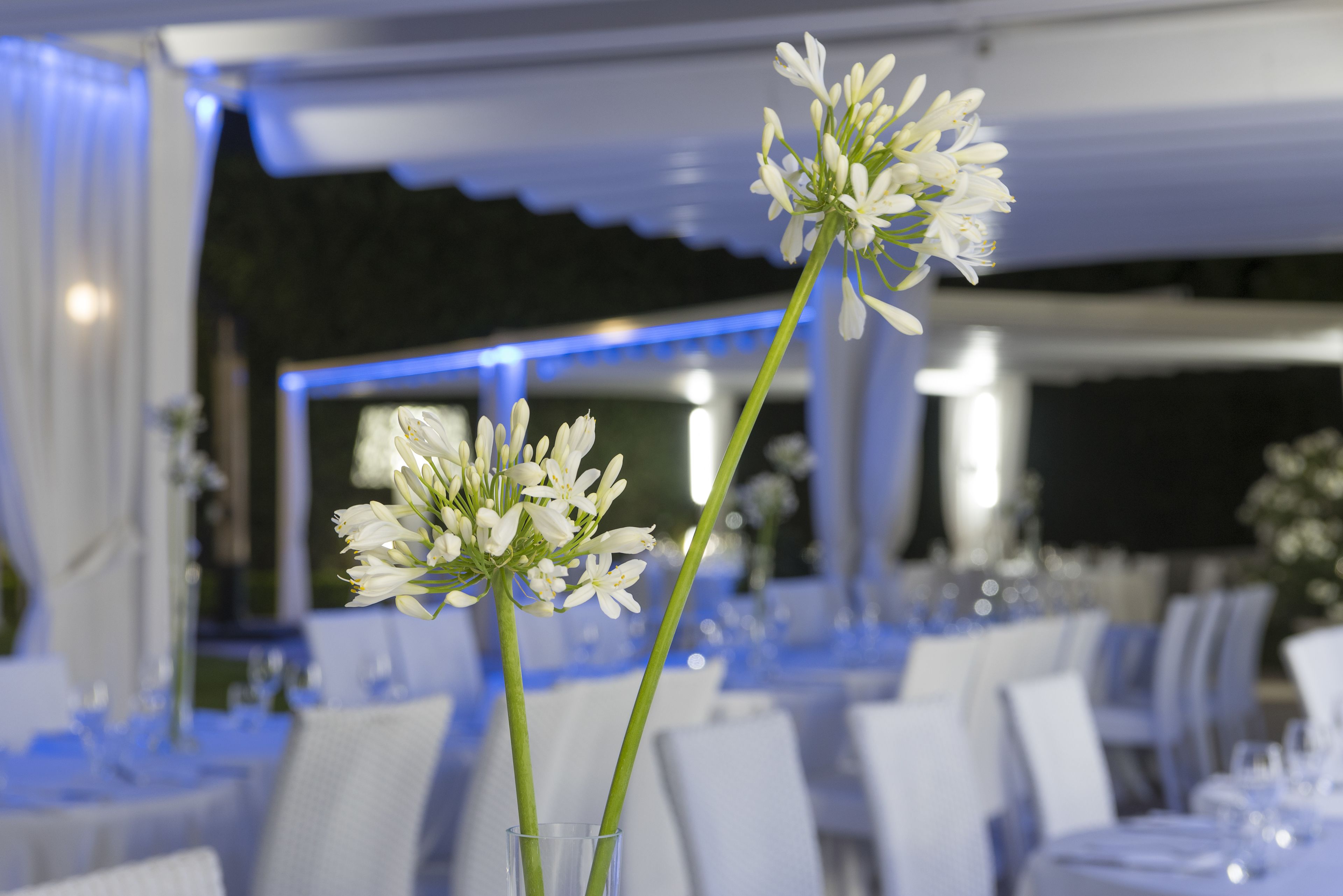 Un comedor con mesas dispuestas para un evento formal, con manteles blancos y sillas.