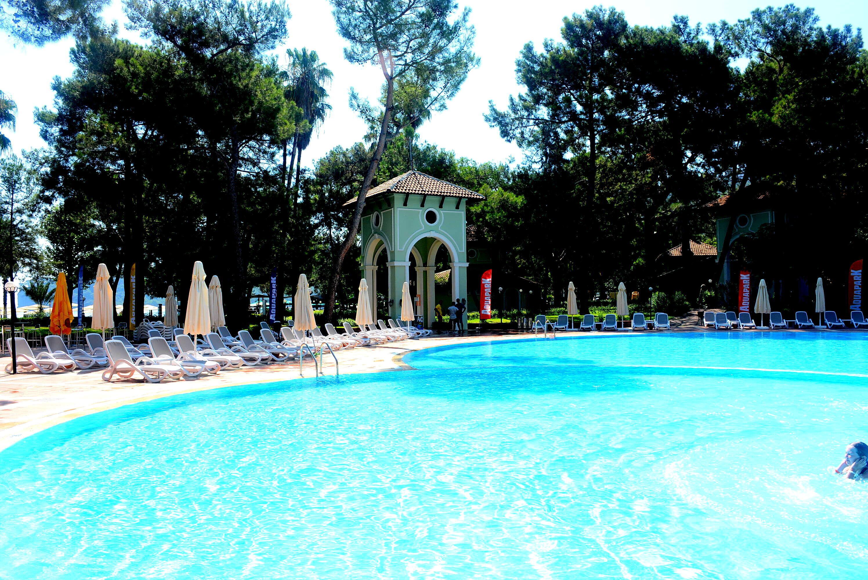 A swimming pool with lounge chairs and umbrellas, surrounded by trees.