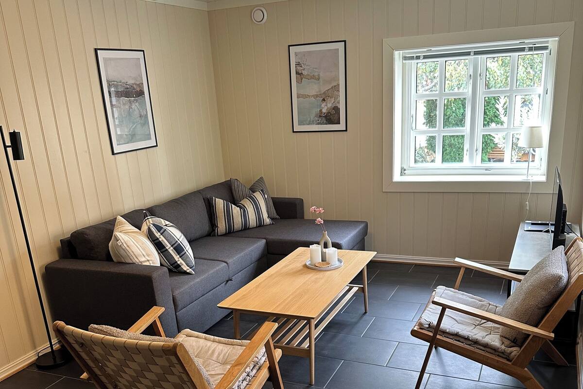 Toetasjesleilighet – comfort | Oppholdsrom | En 43-tommers Flatskjerm-TV med digitale kanaler samt TV