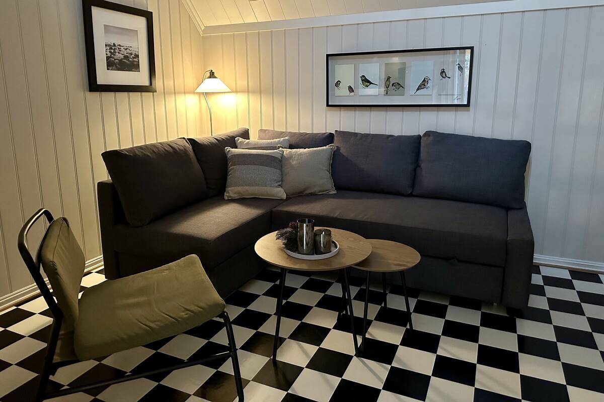 Toetasjesleilighet – basic, 1 queensize-seng med sovesofa | 1 soverom, strykejern/-brett, wi-fi (inkludert) og sengetøy