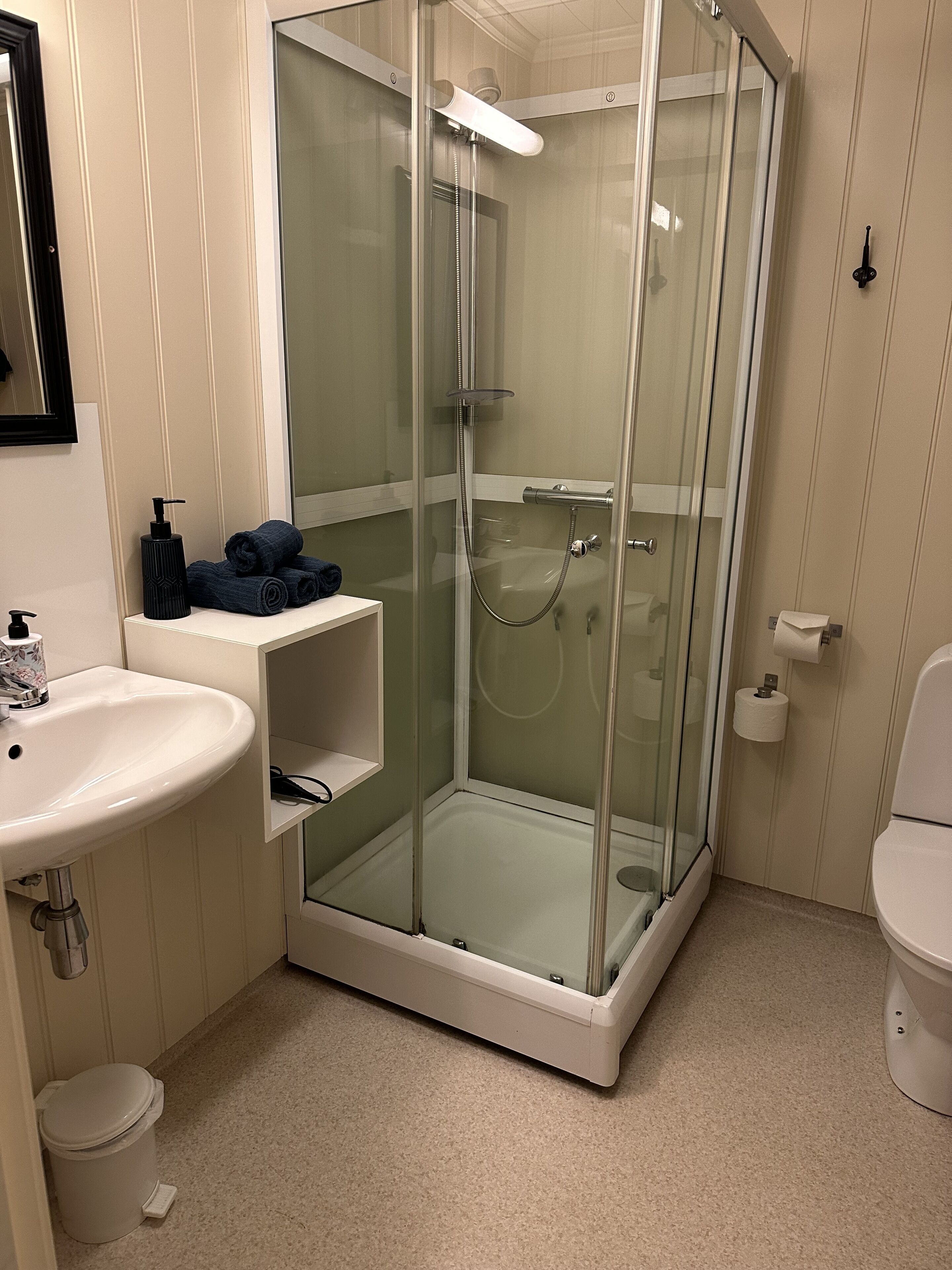 A bathroom with a glass-enclosed shower, a white sink, and a toilet.
