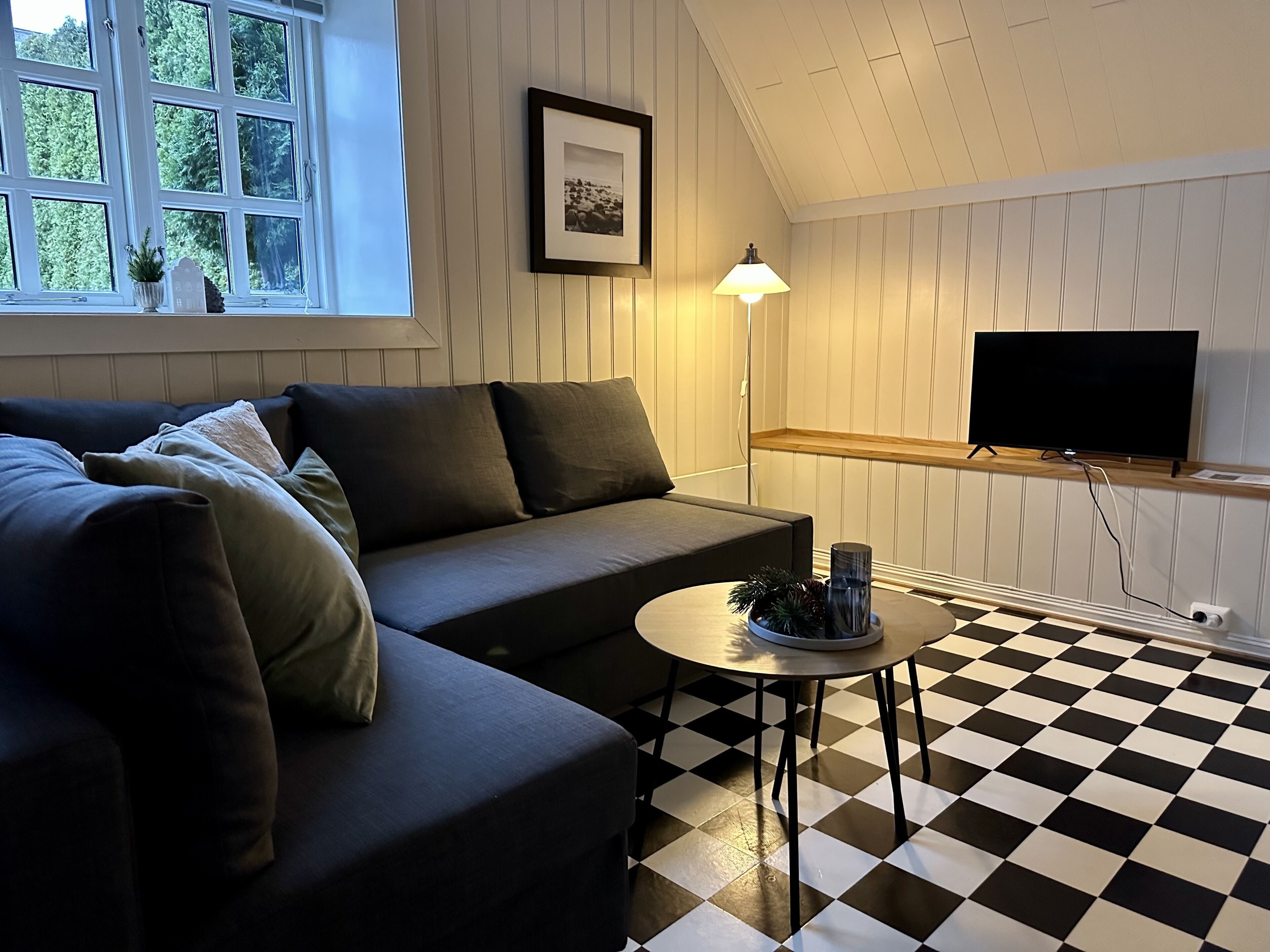 Een woonkamer met een geruit vloerkleed, een bank, een kleine tafel met planten, een lamp en een televisie op een houten plank.