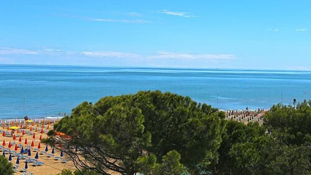 Una playa con sombrillas y árboles en primer plano.
