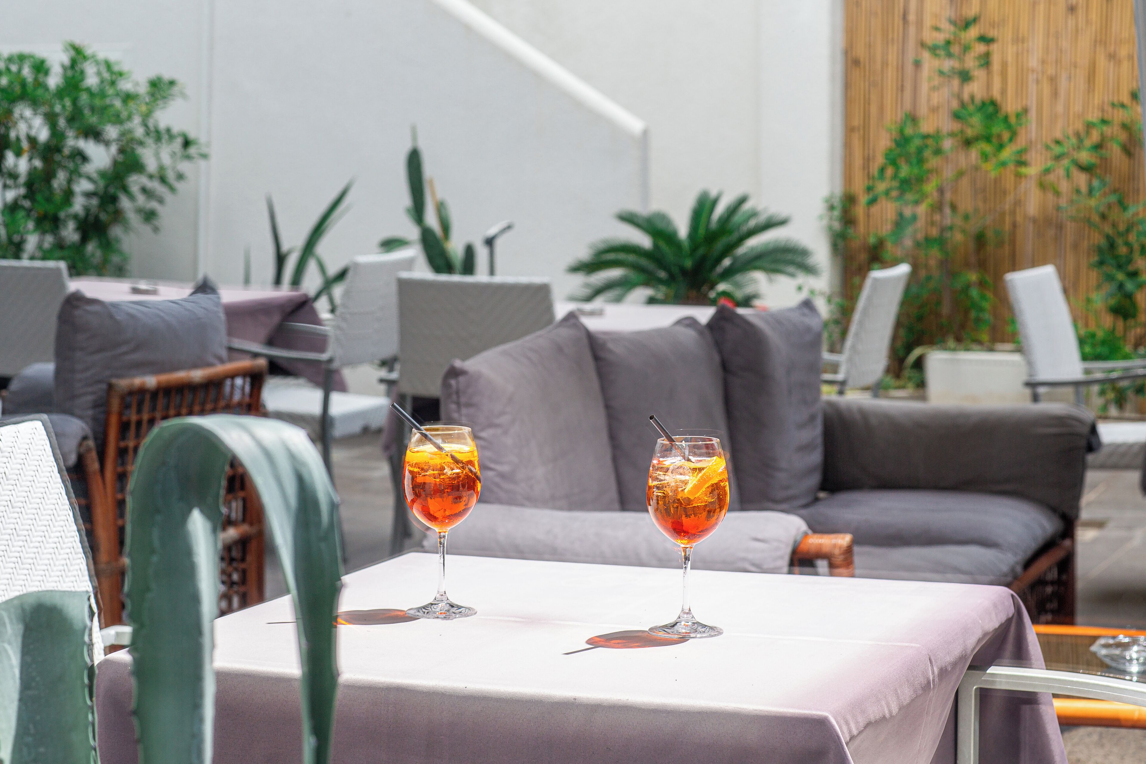 Un espace de détente moderne avec deux boissons sur une table, un canapé gris et diverses plantes en arrière-plan.