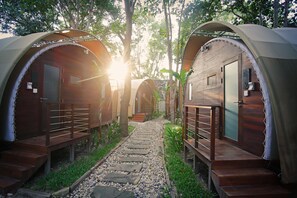 Jungloo at Templation