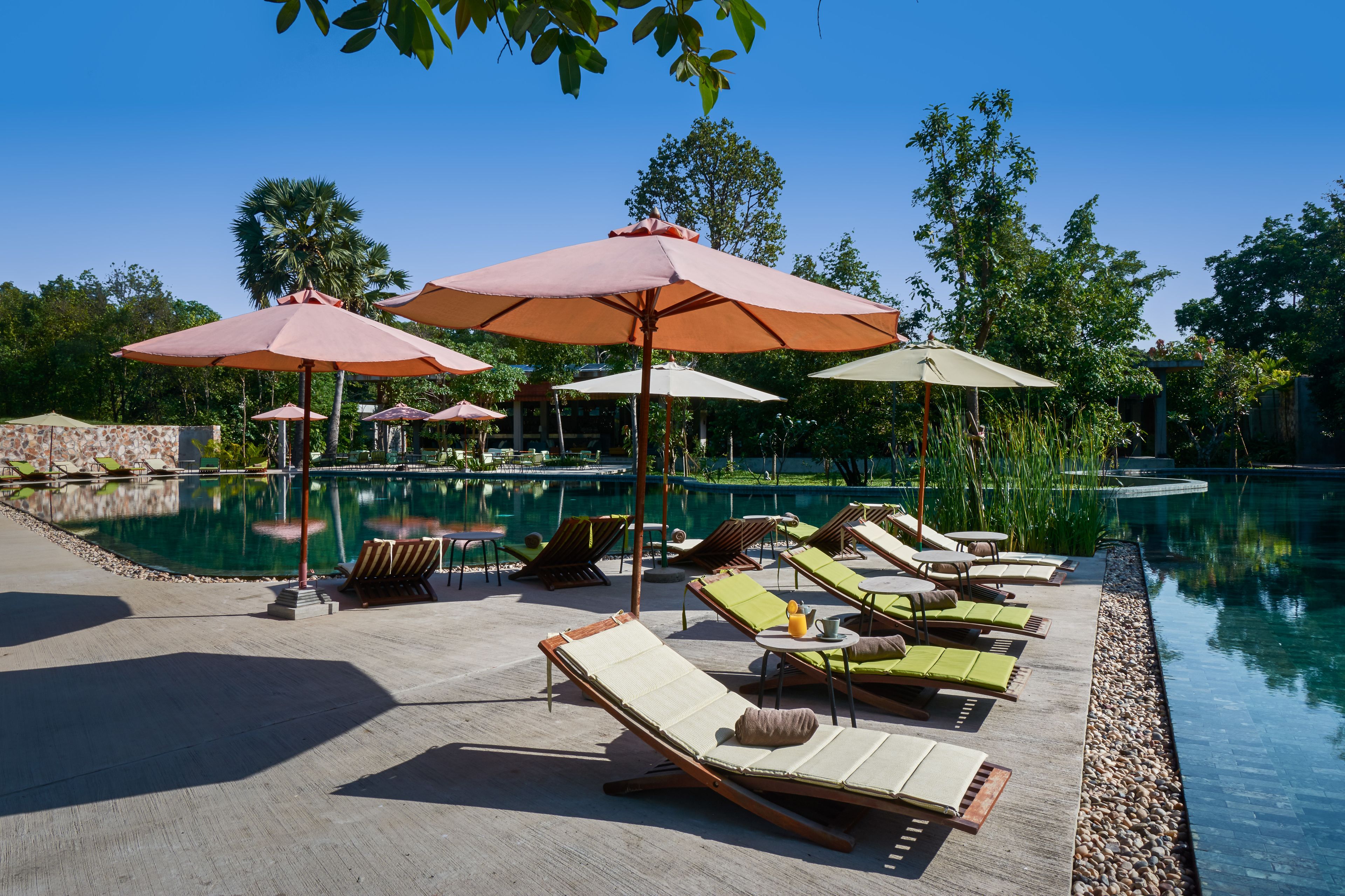 Zona de piscina con sillas de descanso y sombrillas, rodeada de vegetación y un cielo despejado.