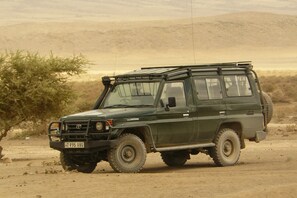 Game drive - Kananga Special Tented Camp (Serengeti)