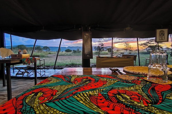 Bar (en la propiedad)