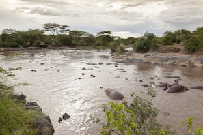 Point of interest - Kananga Special Tented Camp (Serengeti)