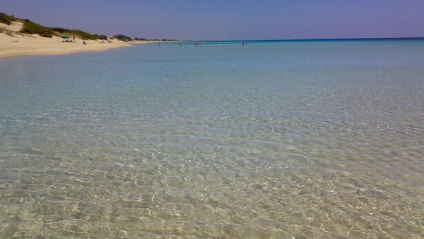 Una playa con aguas claras y poco profundas, orilla arenosa y vegetación escasa.