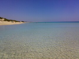 Una playa con aguas claras y poco profundas, orilla arenosa y vegetación escasa.