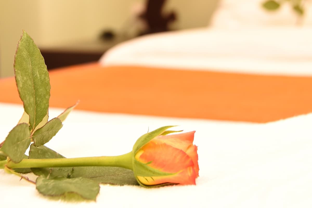 A single rose on a bed with a blurred background of a lamp and a bed frame.