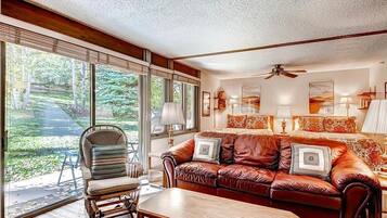Condo, Bathtub, Mountain View (Lichenhearth Studio) | Living area