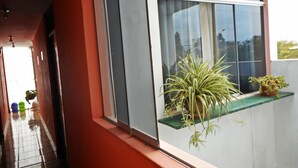 Un couloir avec une fenêtre donnant sur un balcon agrémenté de plantes en pot.