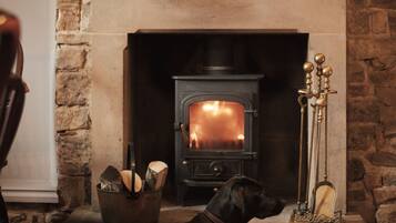 A fireplace with a dog lying in front of it, a metal bucket with logs, and a candle holder on the mantel.