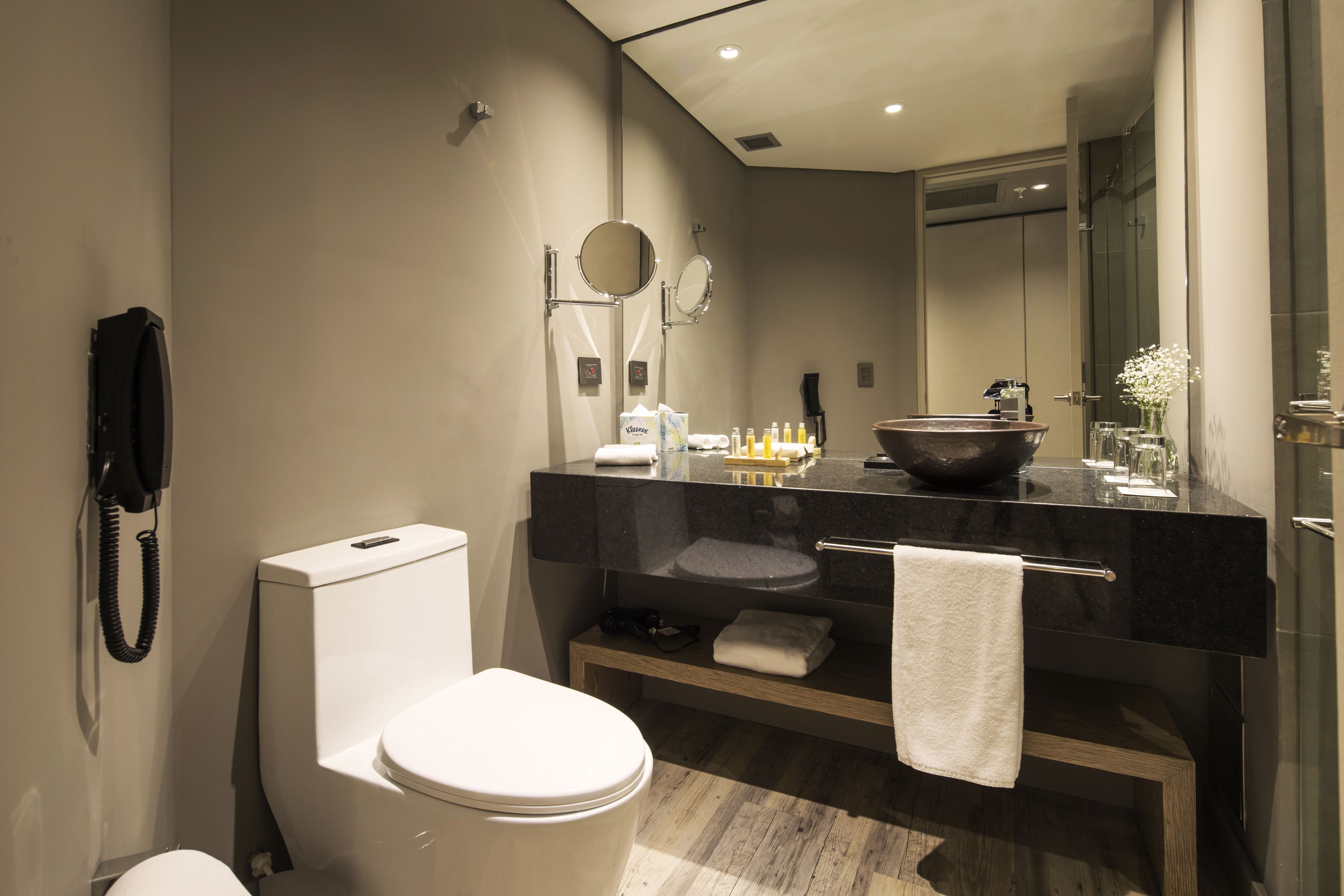 shower, free toiletries, hair dryer, bathrobes