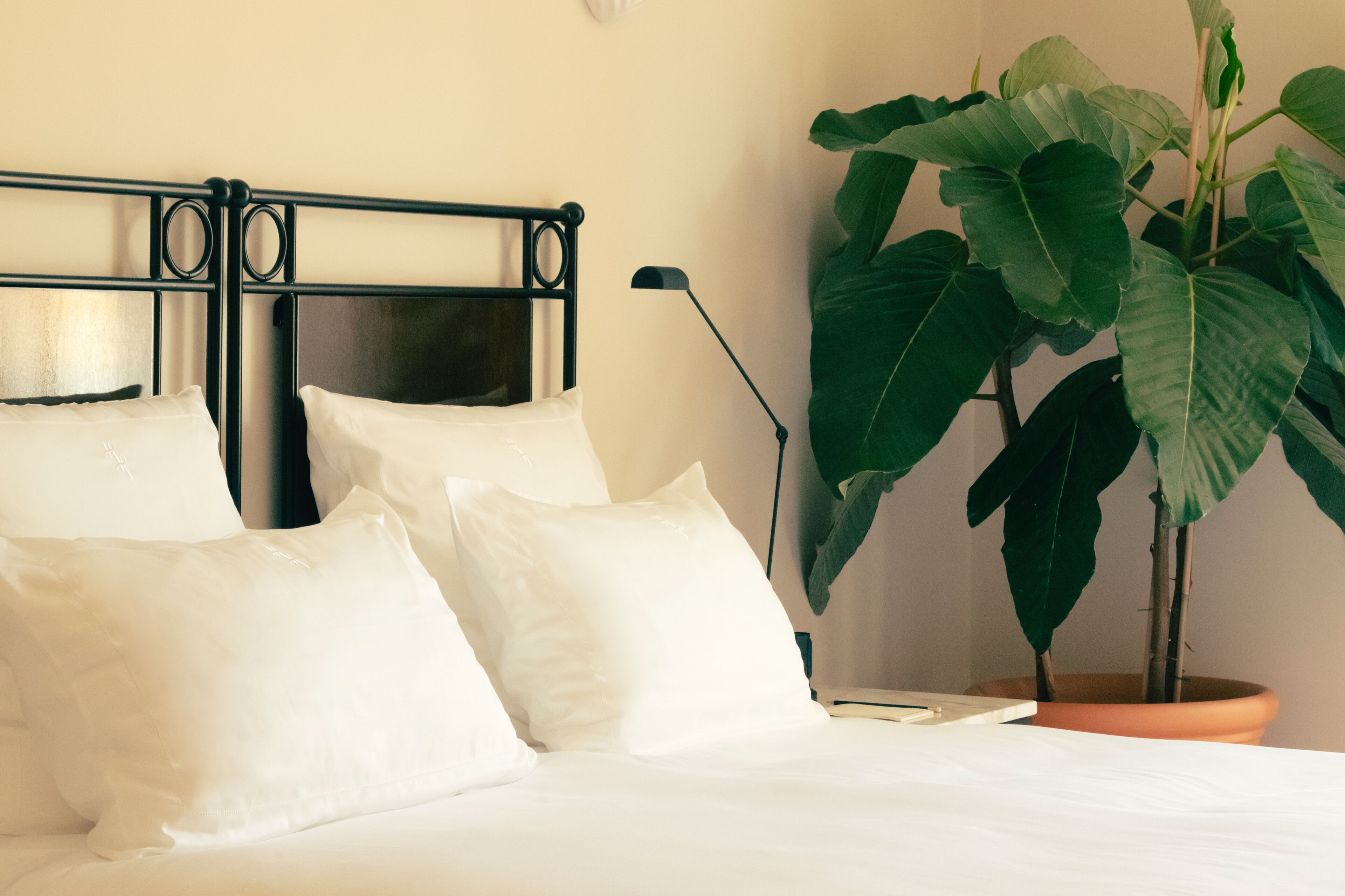 A bed with white bedding and a black metal headboard, a large green plant in a terracotta pot, and a black floor lamp.