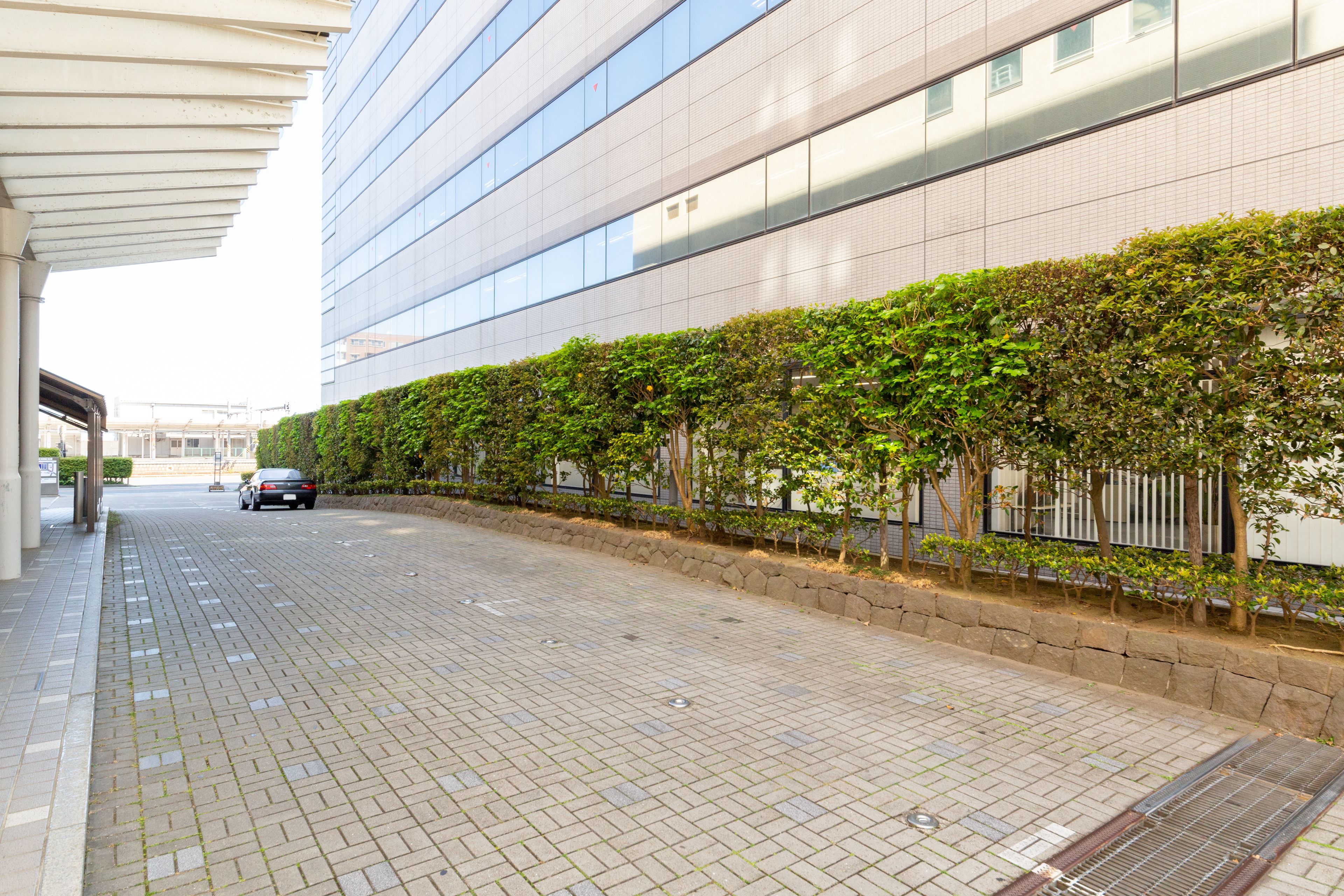 セルフパーキング (無料)