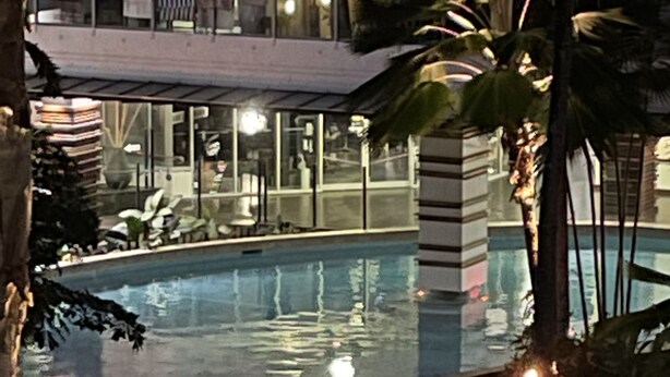 A swimming pool with a wooden deck and lounge chairs, surrounded by palm trees and a building in the background. - Elysium The Drift Apartment (Palm Cove)