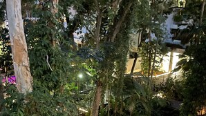 A lush indoor garden with a wooden deck, seating area, and a small pond. - Elysium The Drift Apartment (Palm Cove)