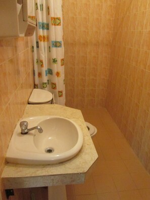 Une salle de bain équipée d’un lavabo, de toilettes et d’un rideau de douche.