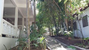 A covered outdoor corridor with a tiled floor, surrounded by potted plants and trees, leading to a building entrance. - Perhentian Tropicana Inn (Pulau Perhentian Kecil)