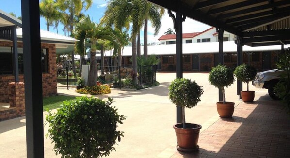 A covered outdoor area with potted plants, a paved walkway, and a building in the background.