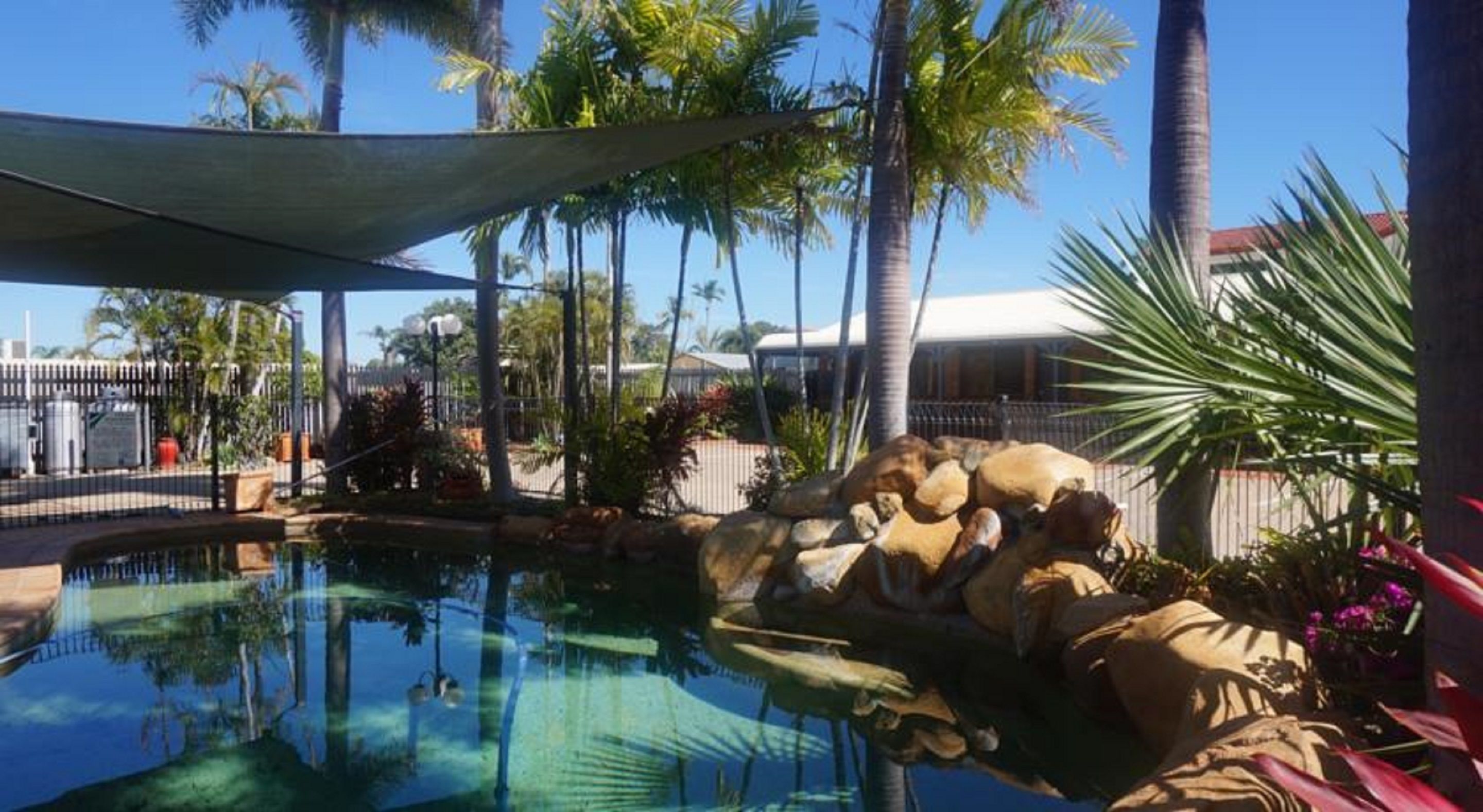 A pool area with clear water, surrounded by palm trees and rocks.