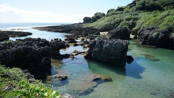 覓覓山丘-包棟親子民宿評價、特色體驗、房價資訊、訂房連結 – 寧靜山丘與親子歡聚首選 - 照片 19