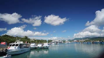 Muelle