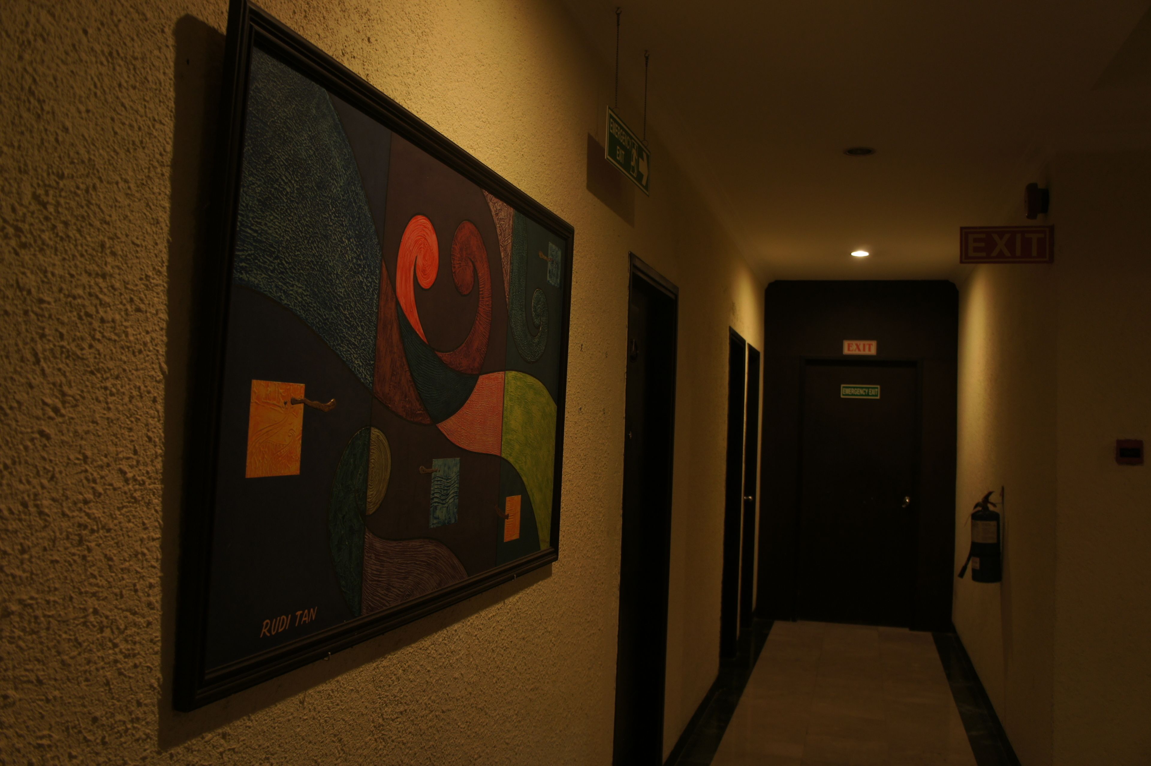 A hallway with a framed abstract painting, an exit sign, and a fire extinguisher on the wall.