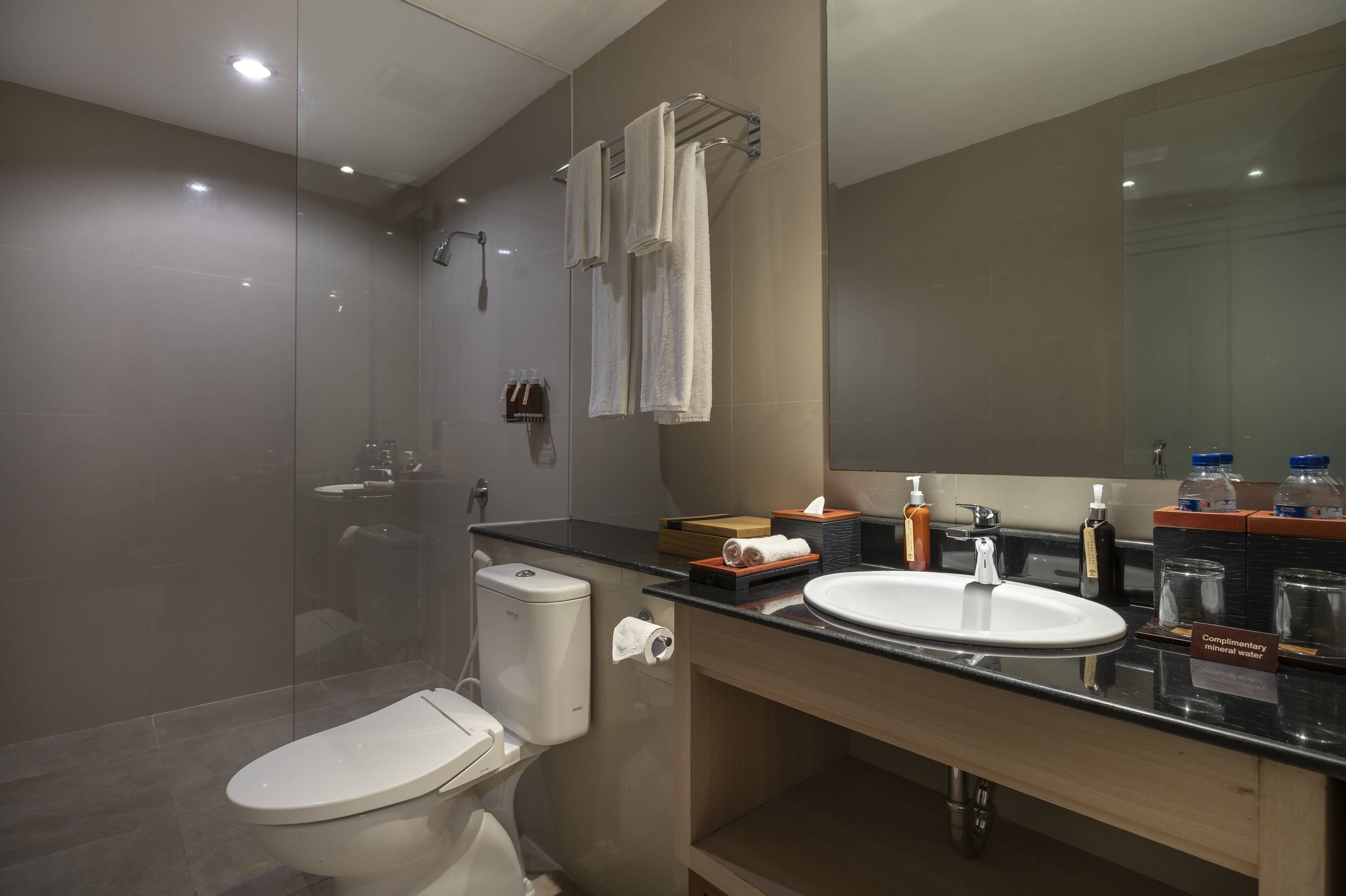 A modern bathroom with a glass-enclosed shower, a toilet, a sink with a mirror, and toiletries.