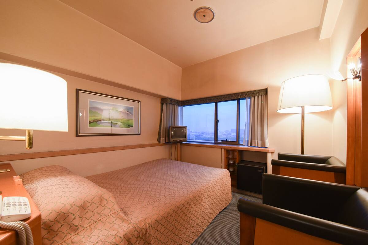 A hotel room with a bed, a desk, a television, a lamp, and a window with a view.