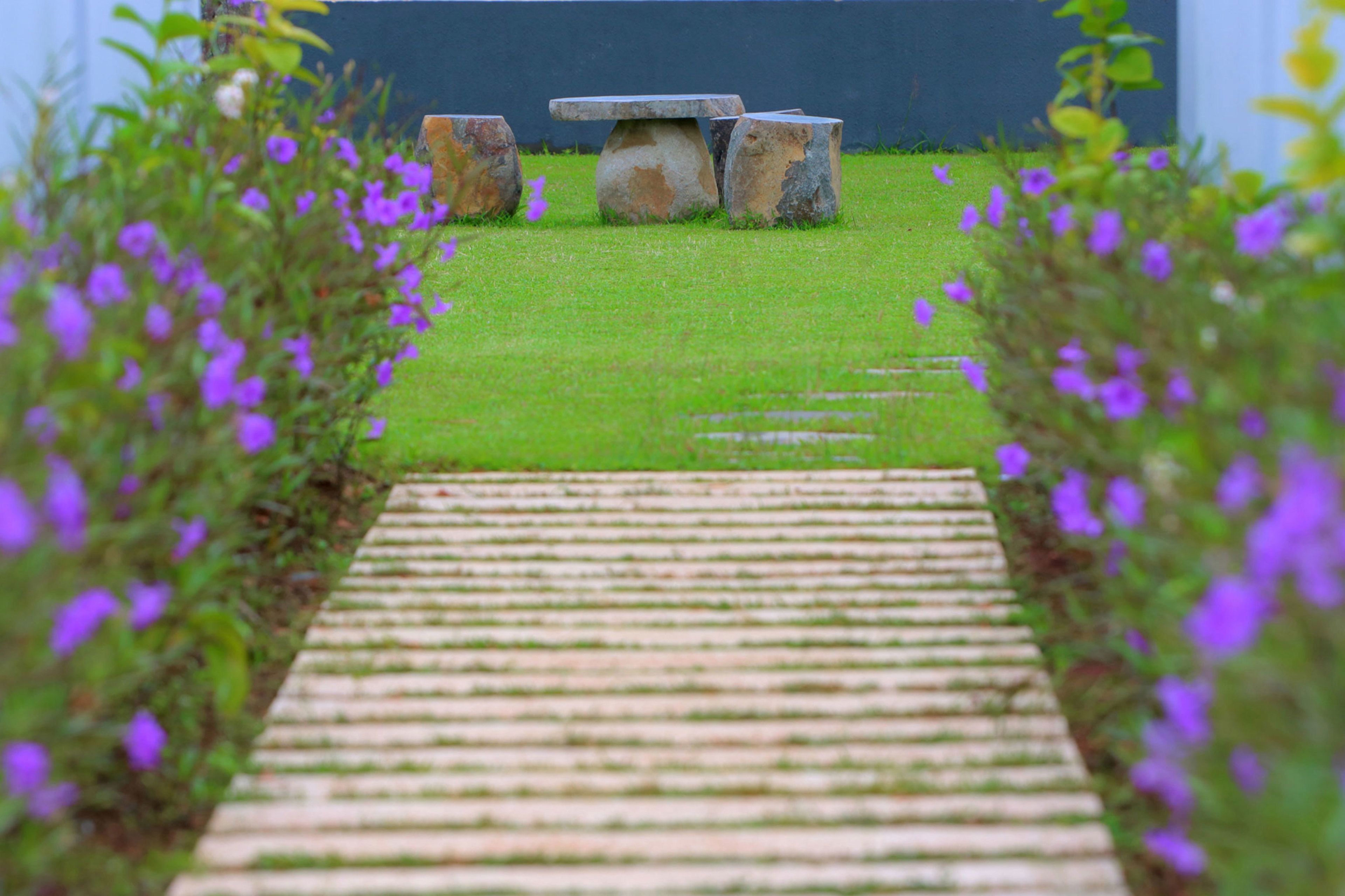 Ein hölzerner Weg führt zu einem Steintisch und -stühlen in einem Garten mit grünem Gras und lila Blumen.