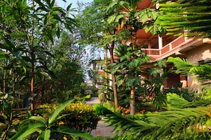 Vue depuis l’hébergement