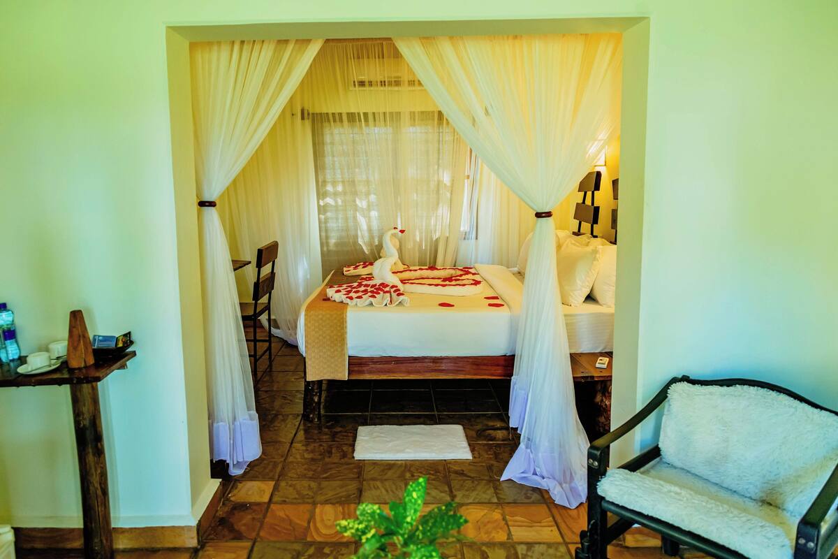 A room with a bed, a chair, a small table, and a potted plant.