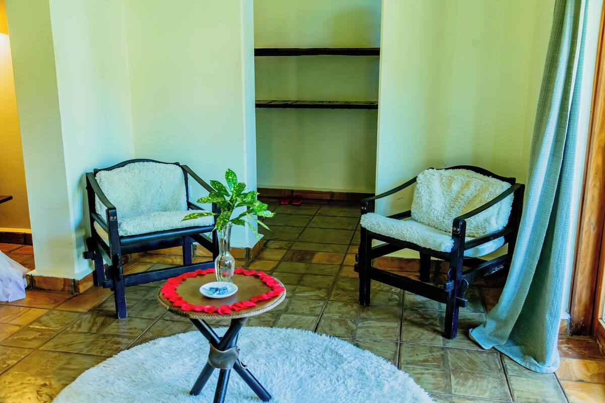 Two armchairs with a small table and a plant between them, on a tiled floor with a white rug.