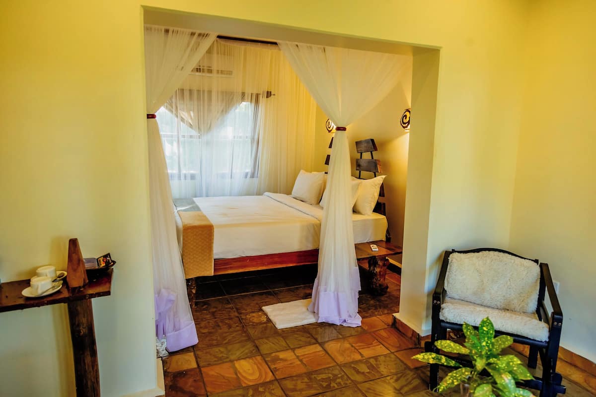 A bedroom with a bed, a chair, a bedside table, and a potted plant.