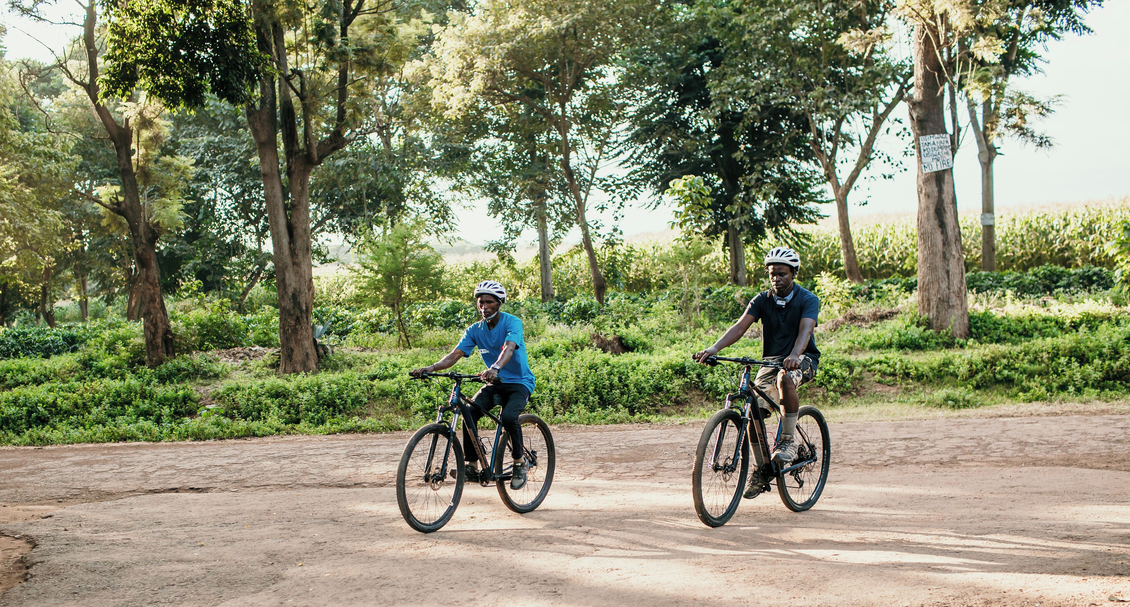 Two cyclists on a dirt road surrounded by greenery.