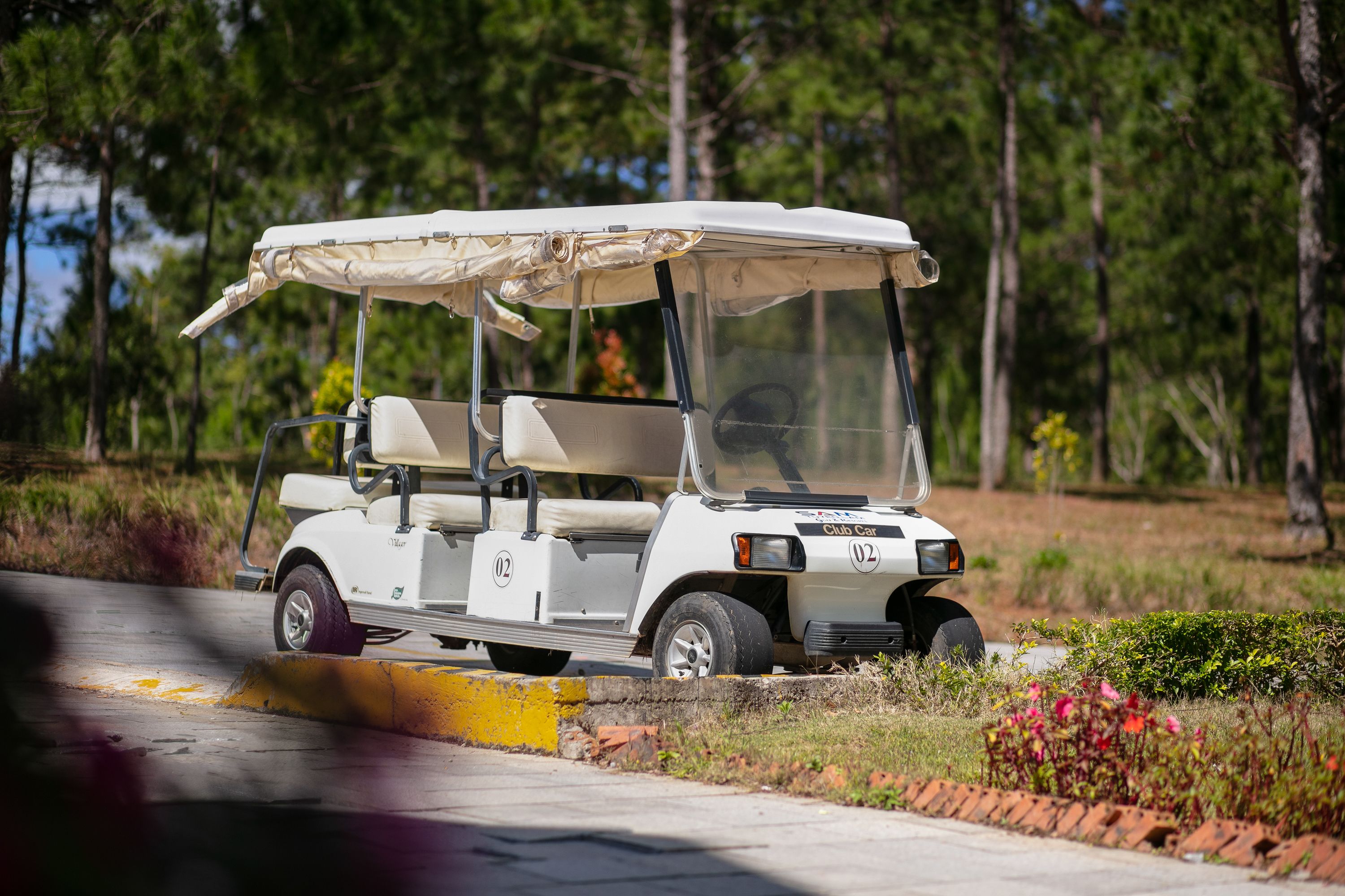 A golf cart parked on a road with a forested background.