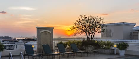 Outdoor pool, sun loungers