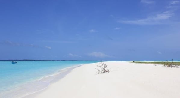 Una spiaggia nelle vicinanze, immersioni subacquee