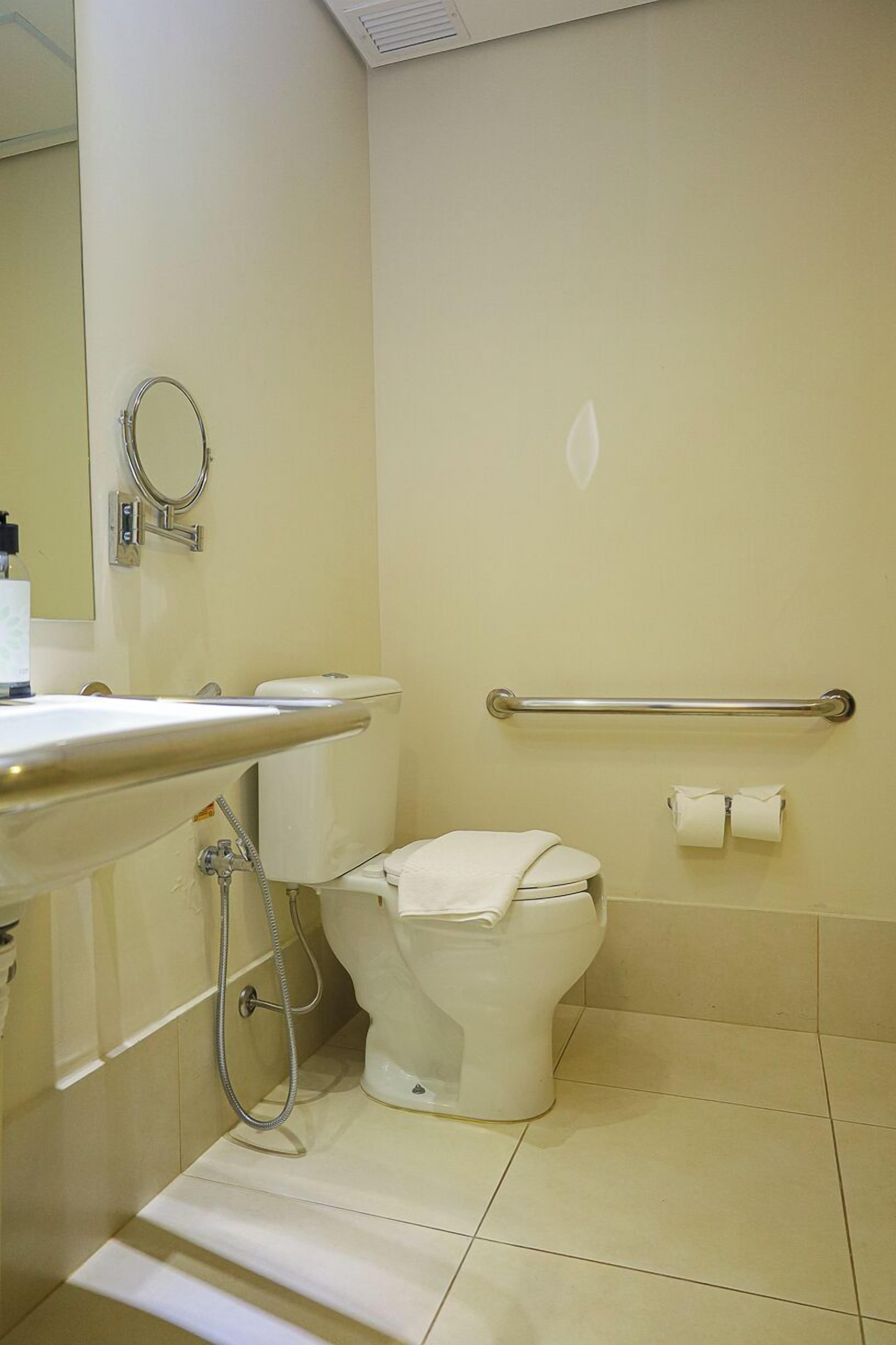A bathroom with a toilet, a sink, a handrail, and a mirror.