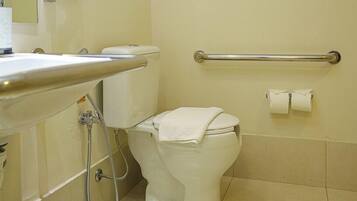 A bathroom with a toilet, a sink, a handrail, and a mirror.