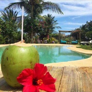 Une piscine dotée d’une terrasse en bois, entourée de palmiers et agrémentée d’un kiosque.