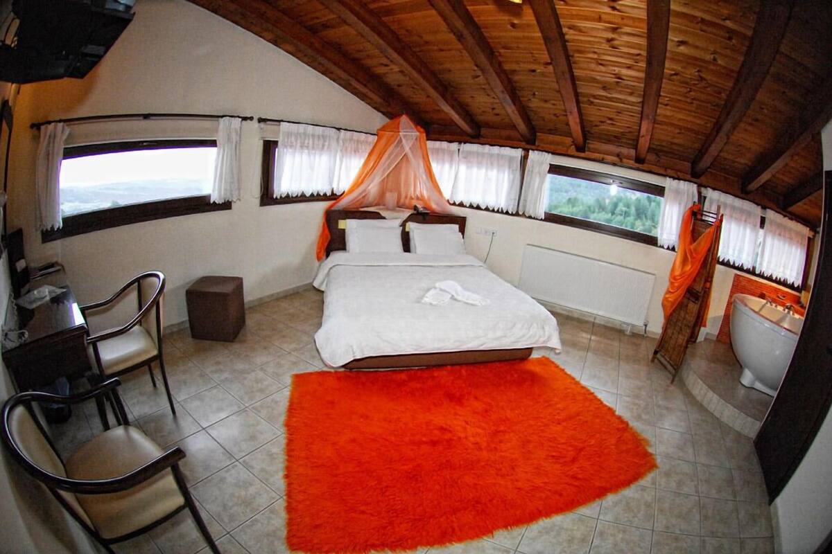 A bedroom with a bed, a desk, and chairs, a large orange rug, and a view through the windows.
