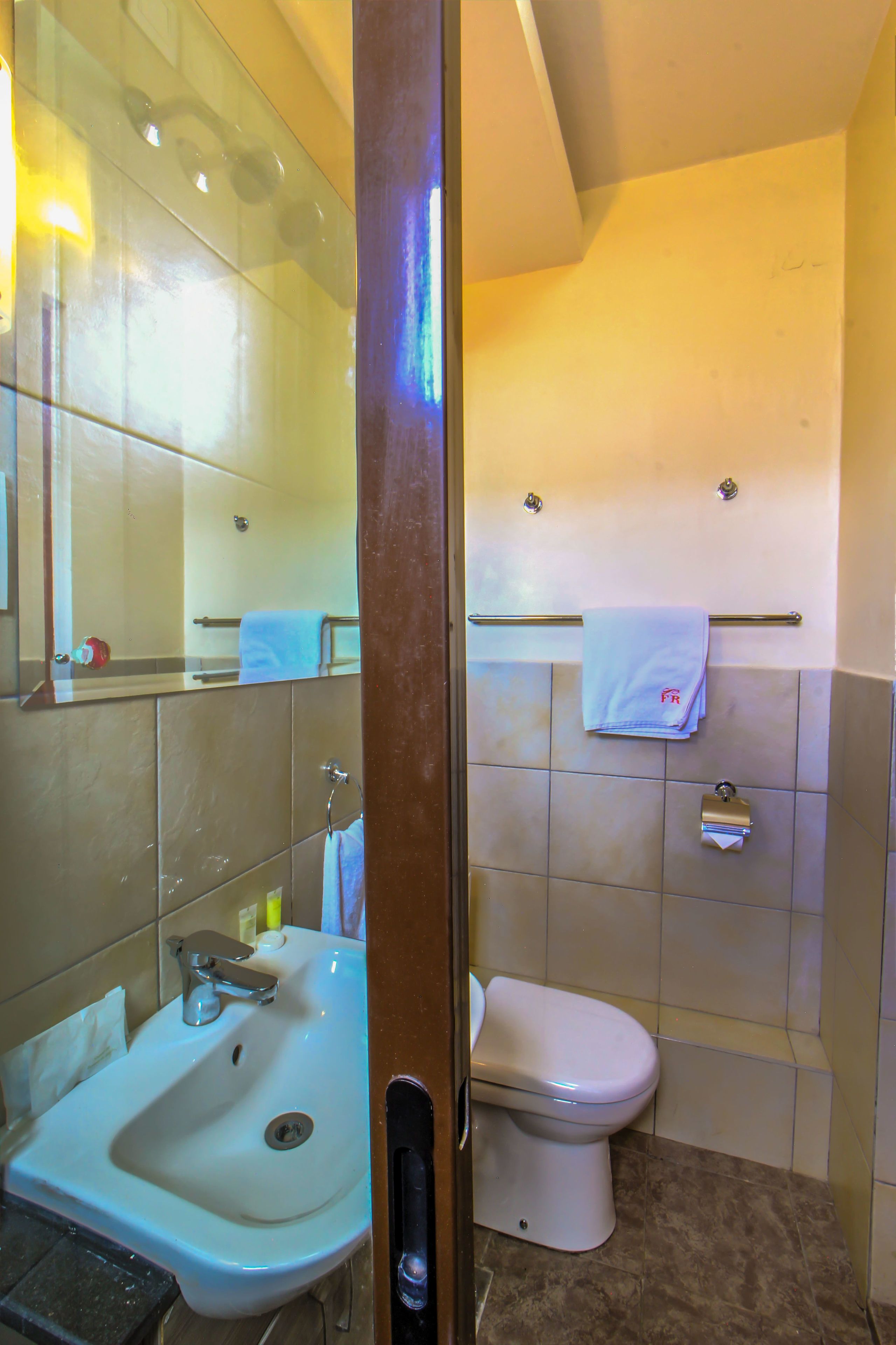 basic room (budget) | bathroom | shower, free toiletries, towels